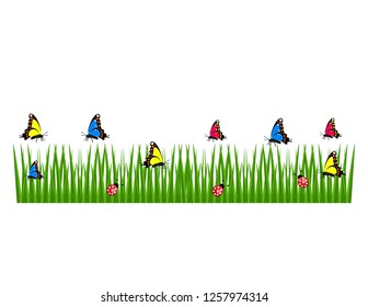 Spring grass with butterflies isolated