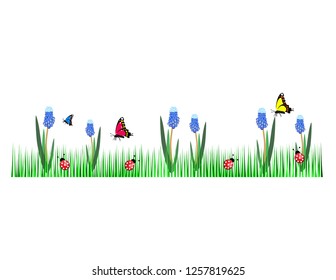 Spring grass butterfly flowers