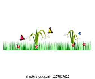 Spring grass butterfly flowers