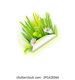 Spring grass an daisy flowers at white sticker, season vector illustration. Summer floral bouquet with herbs. Eco friendly technology, natural farm product or park and rest logo. 
