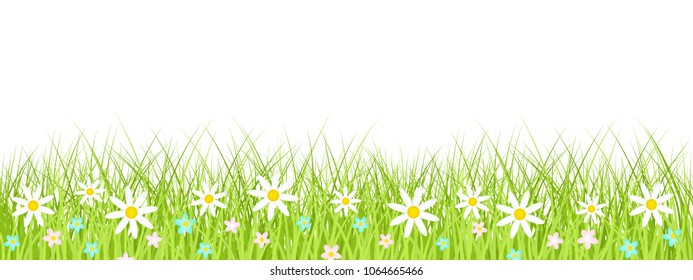 Spring grass, flower seamless border, Easter greeting card decoration element, flat vector illustration isolated on transparent background. Cute design elements with spring grass and meadow flowers.