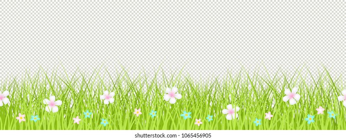 Spring grass, flower seamless border, Easter greeting card decoration element, flat vector illustration isolated on transparent background, cute design elements with spring grass and meadow flowers.