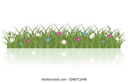 Spring grass and flowers background. Isolated vector illustration on white background.