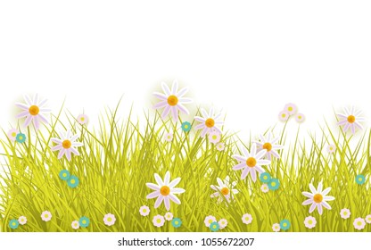 Spring grass and flowers border on white background with empty space for text - greeting card decoration element for Easter congratulation. Cartoon vector illustration.