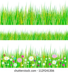Spring grass and flowers borders. Seamless pattern Easter decoration with spring grass and meadow flowers. Isolated on white background. Vector illustration