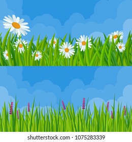 Spring grass and flowers. Fresh green meadow and clear sky seamless  vector background set.
