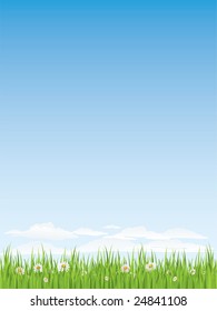 Spring grass and flowers.  Seamless design