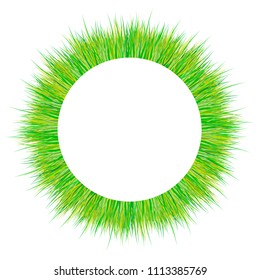 Spring grass pattern. Easter decoration with spring grass and meadow flowers. Circle, isolated on white background. Vector illustration