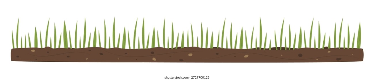 Spring grass shoots on white background. Young sprouts growing from the ground. Vector illustration for design, decoration, banner, invitation.