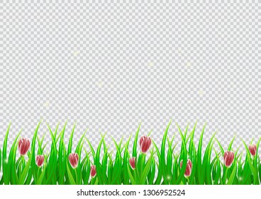 Spring grass with tulip on isolated background in realistic style. Border. Garden. Vector illustration design.