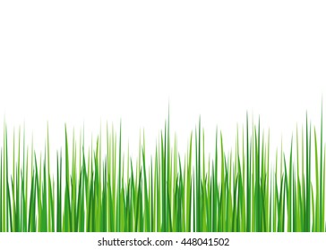 Spring grass. Vector