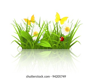 Spring grass, vector