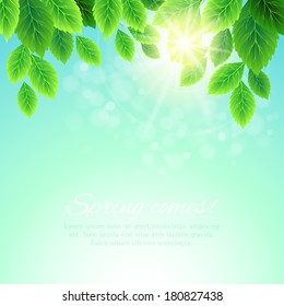 Spring grass vector background