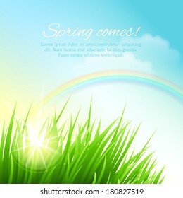 Spring grass vector background