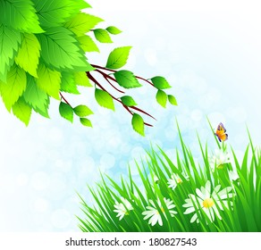 Spring grass vector background