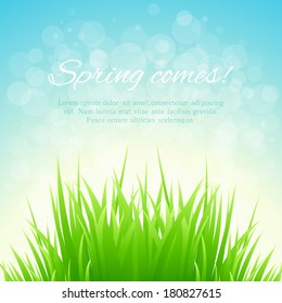 Spring grass vector background