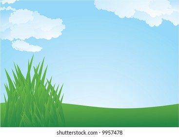 Spring grass. Vector background.
