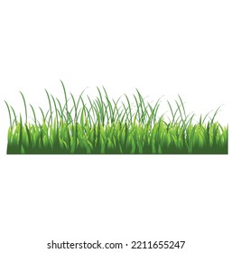 spring grass vector illustration concept design