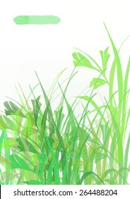 spring grass in watercolor style