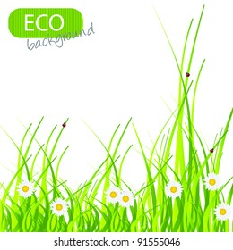 Spring green background. Grass and flower.