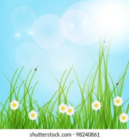 Spring green background. Grass and flower.