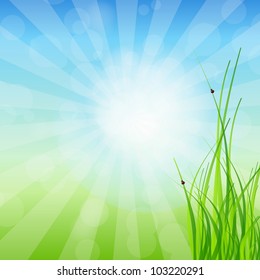 Spring green background. Grass and sun