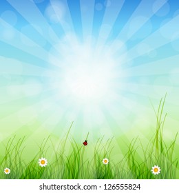 Spring green background. Grass and sun