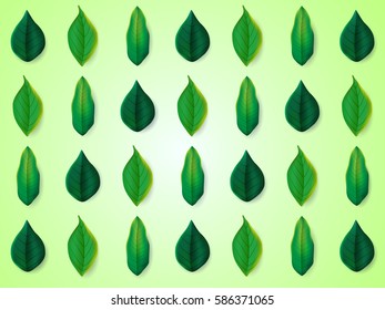 Spring green background in green leaves.
