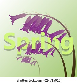 Spring green card with violet meadow flower.Vector illustration