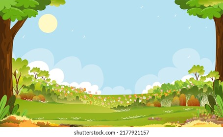 Spring green fields landscape with blue sky and clouds background,Panorama peaceful rural nature in springtime with grass land in morning. Vector Cartoon for spring and summer banner