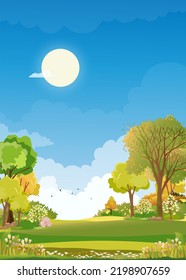 Spring Green Fields Landscape With Blue Sky And Clouds Background,Vector Peaceful Rural Nature In Springtime With Grass Land In Morning. Vertical Cartoon For Spring And Summer Banner