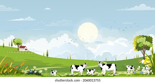 Spring green fields landscape with mountain, blue sky and clouds background,Panorama peaceful rural nature in springtime with green grass land. Cartoon vector illustration for spring and summer banner