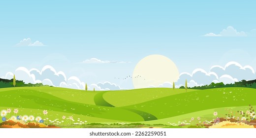 Spring green fields landscape with mountain,blue sky and clouds background,Panorama peaceful rural natural in springtime with green grass land. Cartoon vector illustration for spring and summer banner