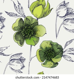 Spring green flowers of hellebore or Lenten rose seamless pattern