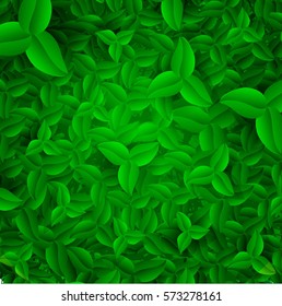 Spring green foliage pattern. Vector illustration