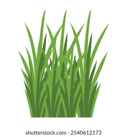Spring Green Gras Isolated weed plants for lawn