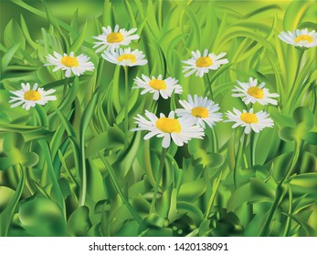 Spring green grass and chomomile. 3d vector realistic landscape. Realistic grass with chamomile.
