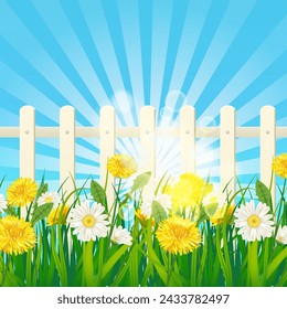 Hierba verde de primavera, flores de margarita y diente de león, cerca blanca