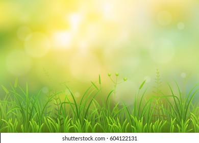 Spring green grass herbal natural background