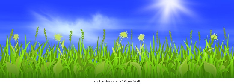 Spring green grass on blue sky background with shining sun