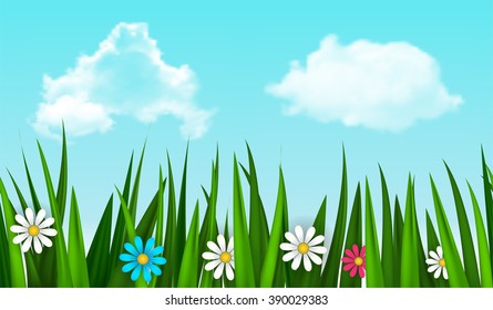 Spring green grass seamless border with sky and flowers . Detailed vector illustration