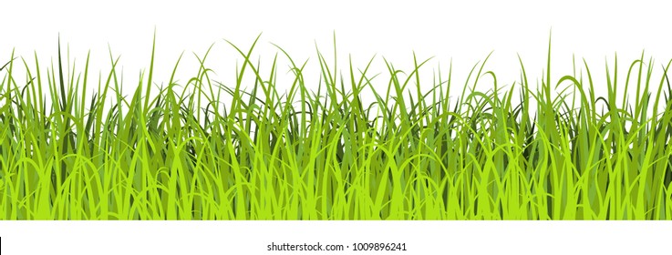 Spring green grass seamless illustration. Green meadow border. Vector illustration
