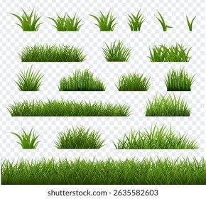 Fondo transparente de hierba verde de primavera 
Con malla degradada, Ilustración vectorial