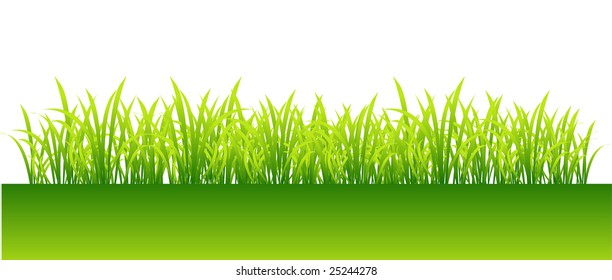 Spring, green grass for your design