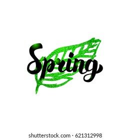 Spring Green Leaf Inscription. Vector Illustration of Nature Plant Postcard with Lettering.