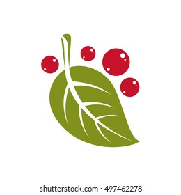 Spring green leaf simple vector icon, nature and gardening theme illustration. Stylized tree leaf with berries or seeds, botany and vegetarian design element.