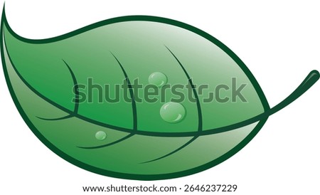 Spring green leaf with water droplets vector illustration created within Adobe illustrator a part of the world leading graphic software company Adobe Creative Cloud.