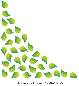spring green leaves background