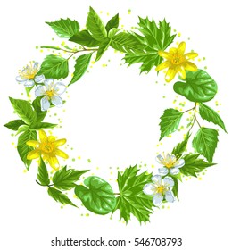 Spring green leaves and flowers. Wreath with plants twig buds.
