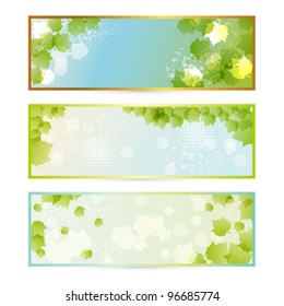 spring green leaves frame set